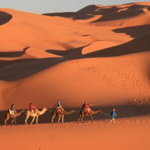 Caravane de dromadaire dans les dunes de Merzouga dans le désert du Sahara